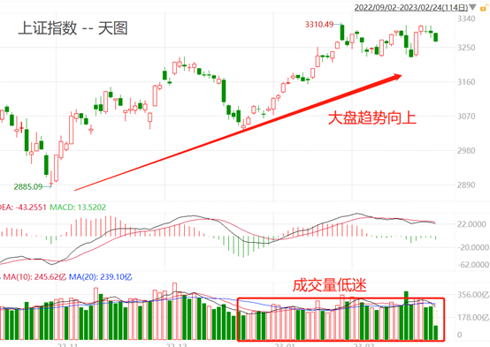 stocks