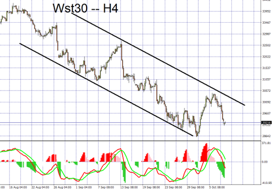 wst30m